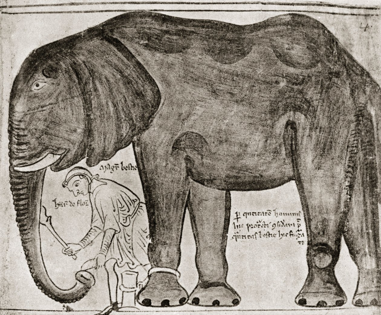 Elefant sendt af St Louis til Henry III, fra 