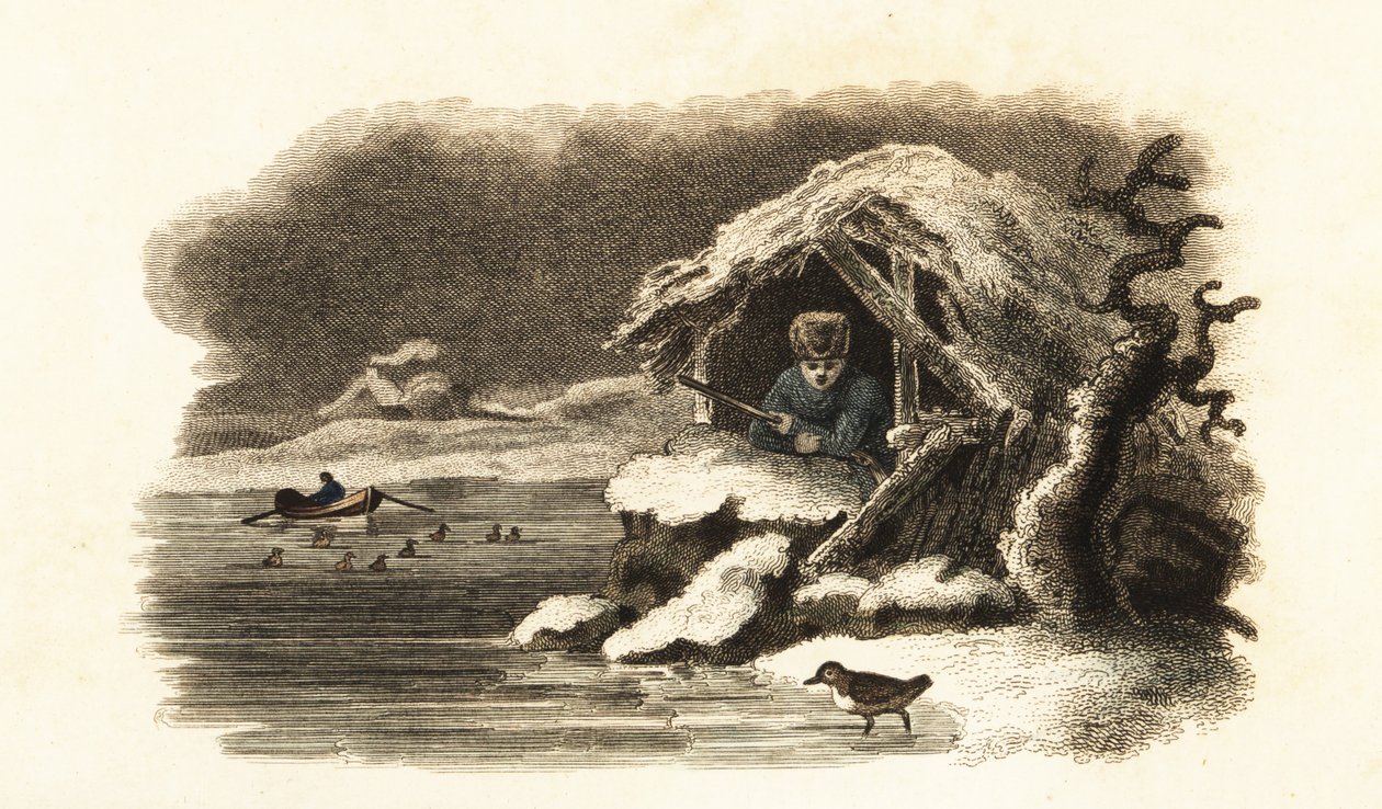 Europæisk vandouzel går ind i Lake Nantua, Frankrig, og fortsætter nedsænket på bunden af søen i en luftboble af English School