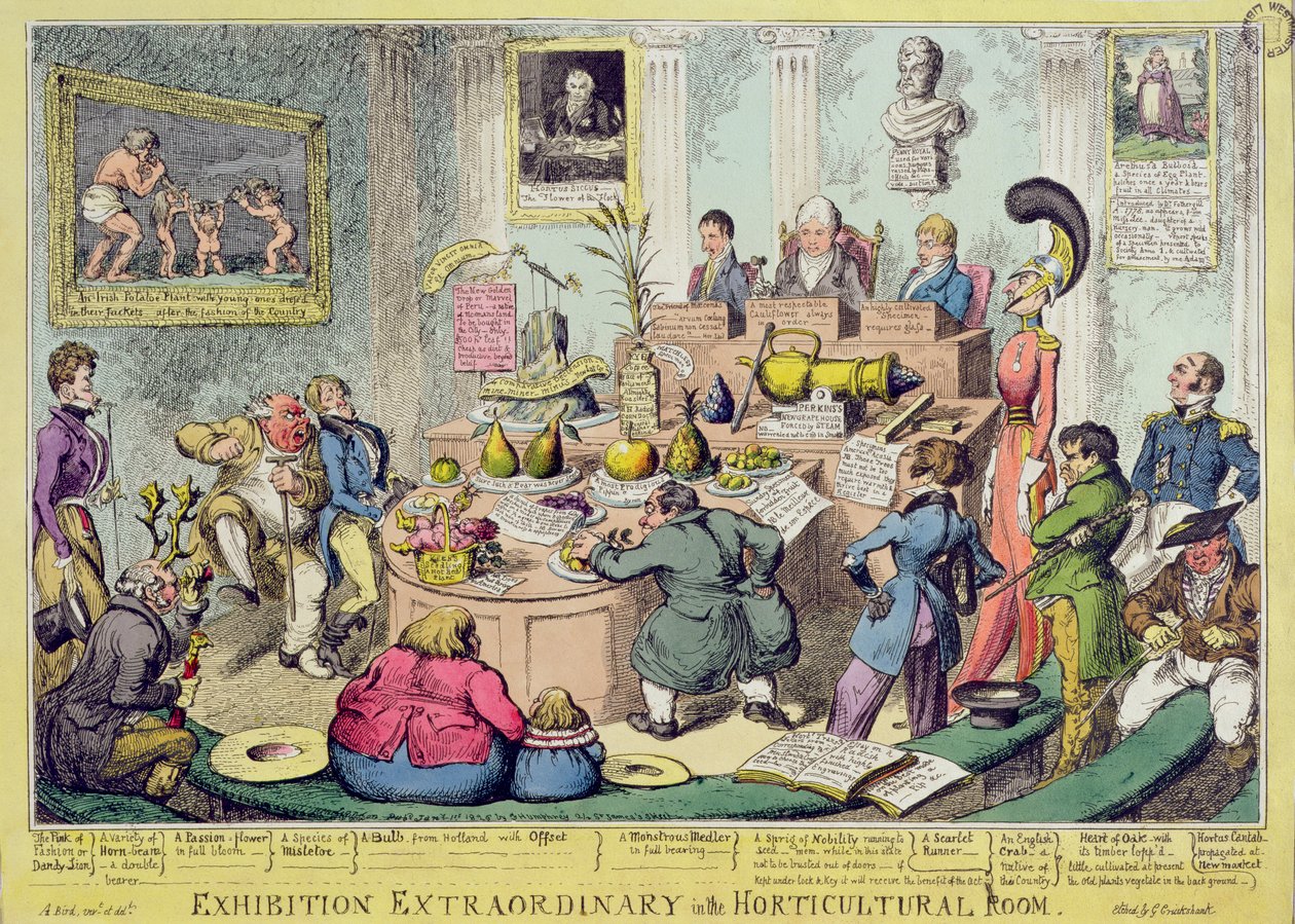 Exhibition Extraordinary in the Horticultural Room, ætset af George Cruikshank (1792-1878), pub. af G. Humphrey, 1826 (farvet radering) af English School