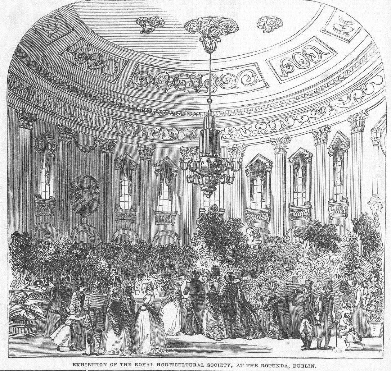 Udstilling af Royal Horticultural Society i Rotunda, Dublin, illustration fra "The Illustrated London News", 1854 af English School