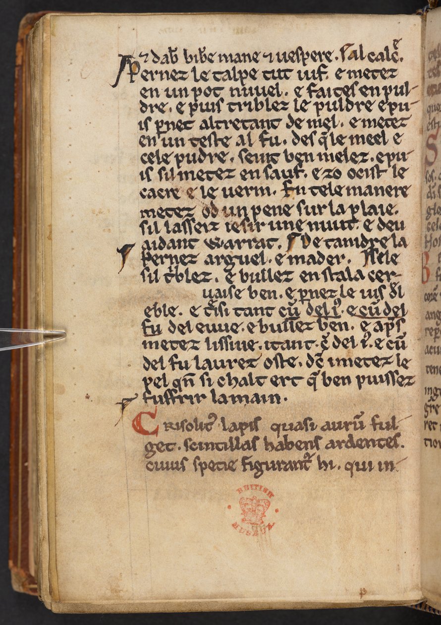 Uddrag fra Henry of Huntingdons Historia Anglorum, Cotton MS Titus D XXIV, f.132v (pergament) af English School