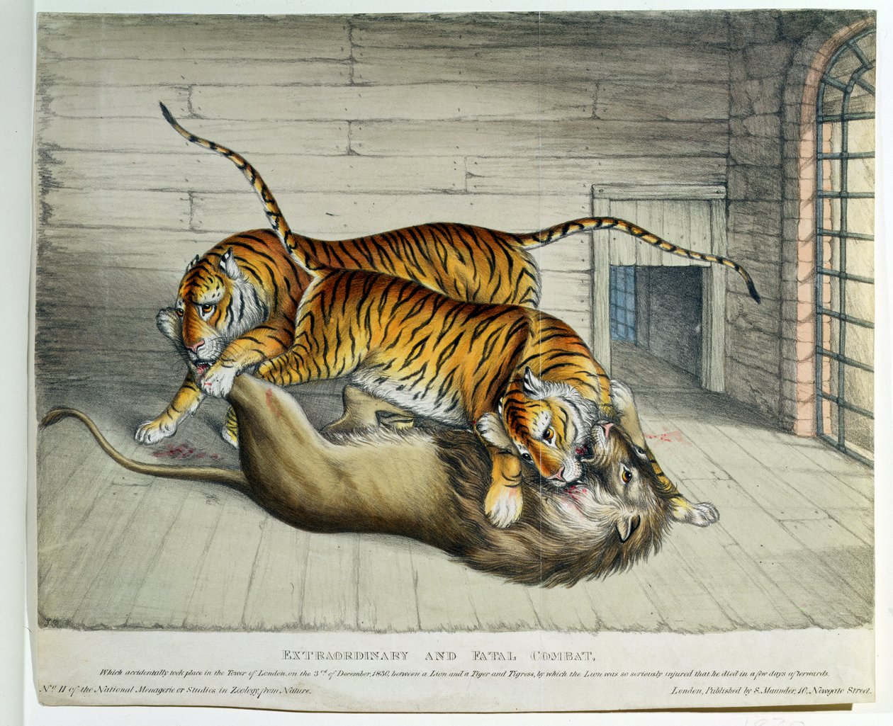 Ekstraordinær og fatal kamp, 1830 (farvet litho) af English School