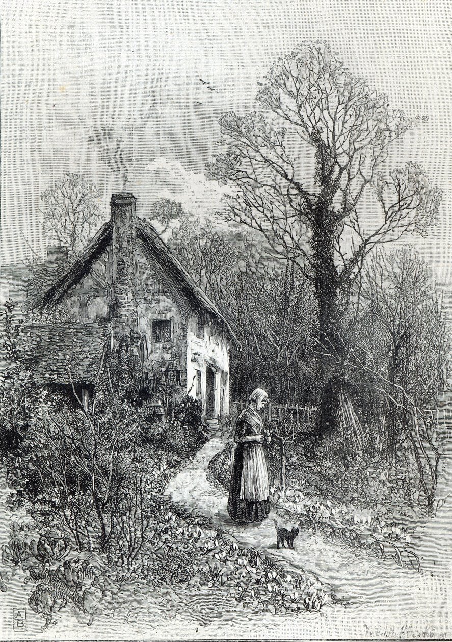 Første blomster, fra 