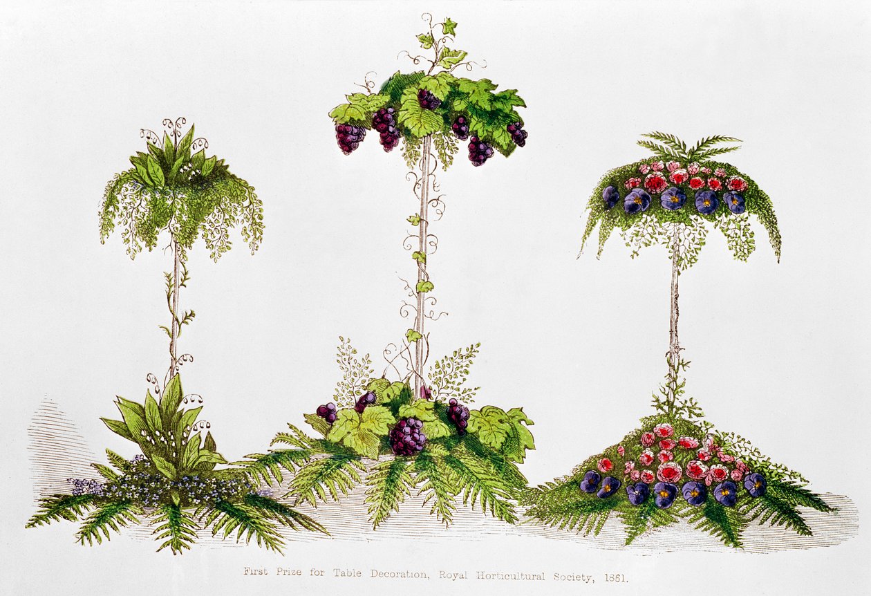 Første pris for borddekoration, Royal Horticultural Society, 1851 af English School