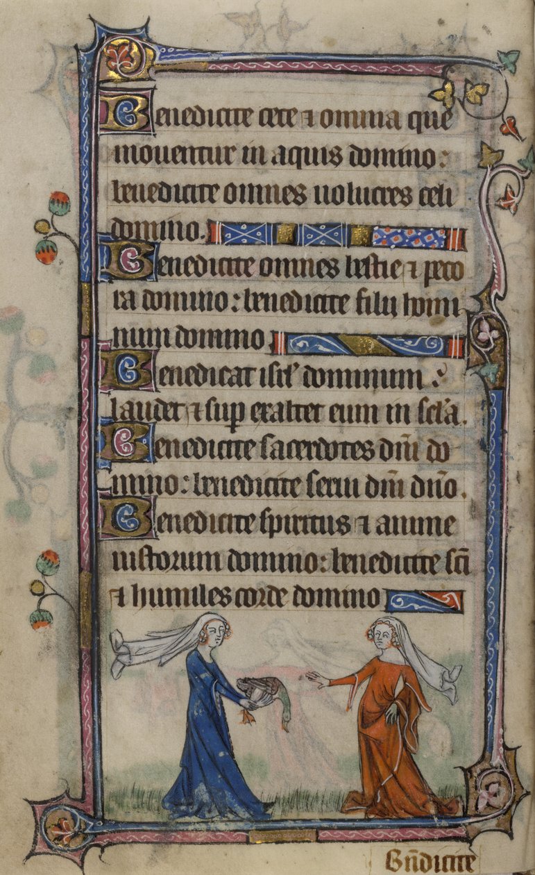 Folio 75v Illustration fra 