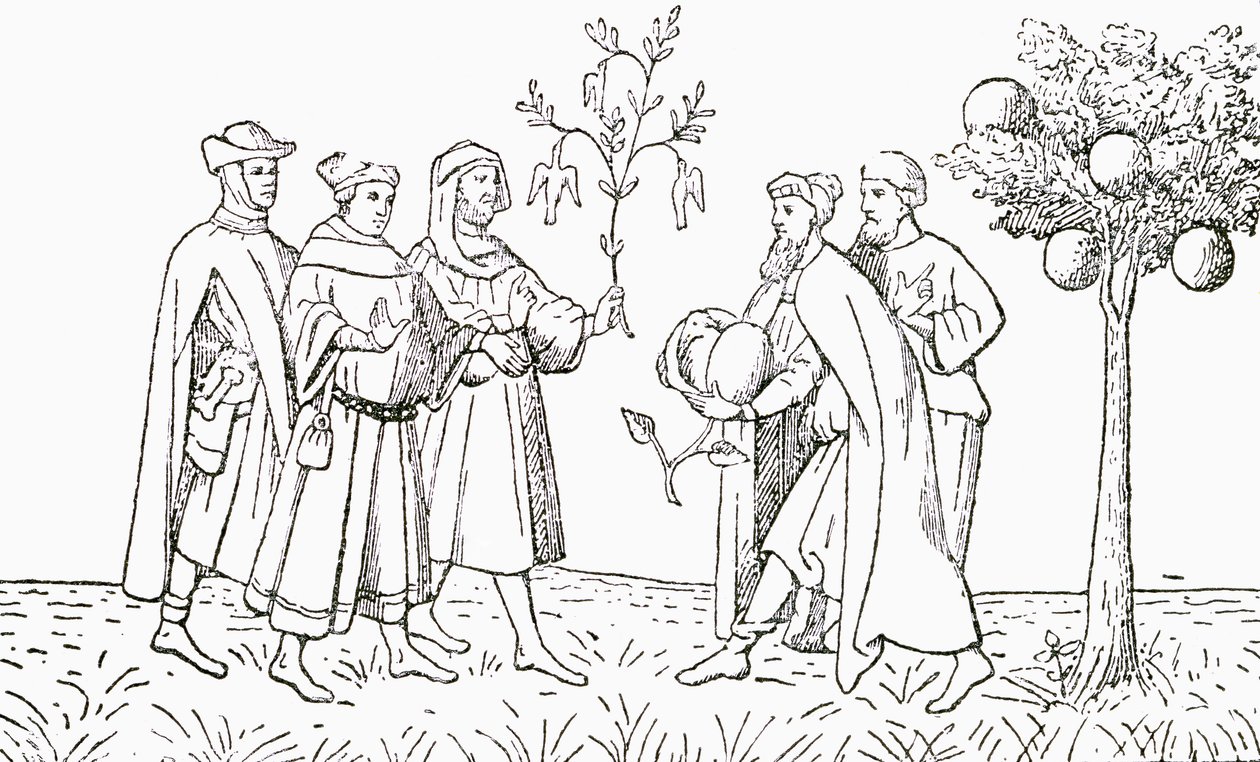 Broder Odoric af Pordenone, der holder en gren fra et træ, som fugle vokser på, vist på skift af den lokale konge, Lammetræet fra Tartary, der viser et lam, der dukker op, illustration fra The Strand Magaz af English School