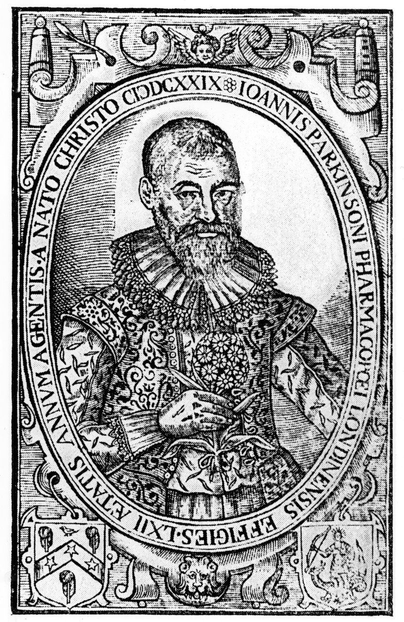 Frontispice for Paradisi in Sole Paradisus Terrestris af John Parkinson, udgivet 1629 af English School