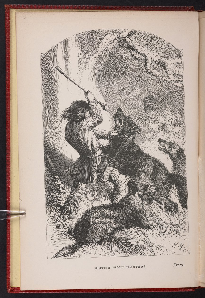 Frontispice fra The British Wolf-Hunters. En fortælling osv. af Thomas Miller af English School