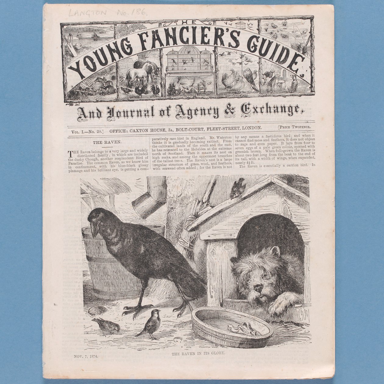 Frontispice fra The Young Fanciers Guide, 1874 (se også 315145) af English School