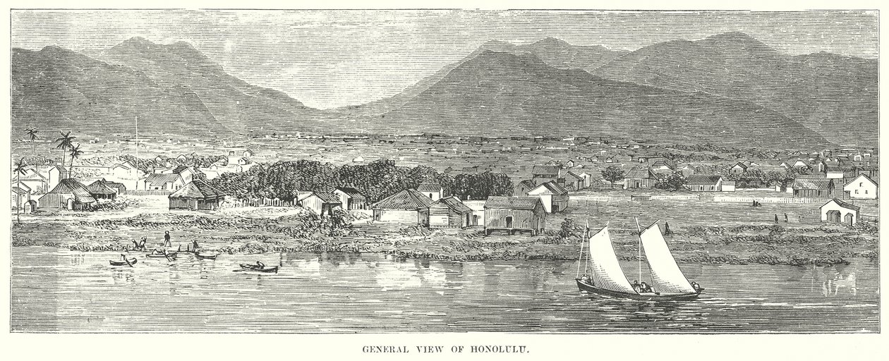 General View of Honolulu (gravering) af English School