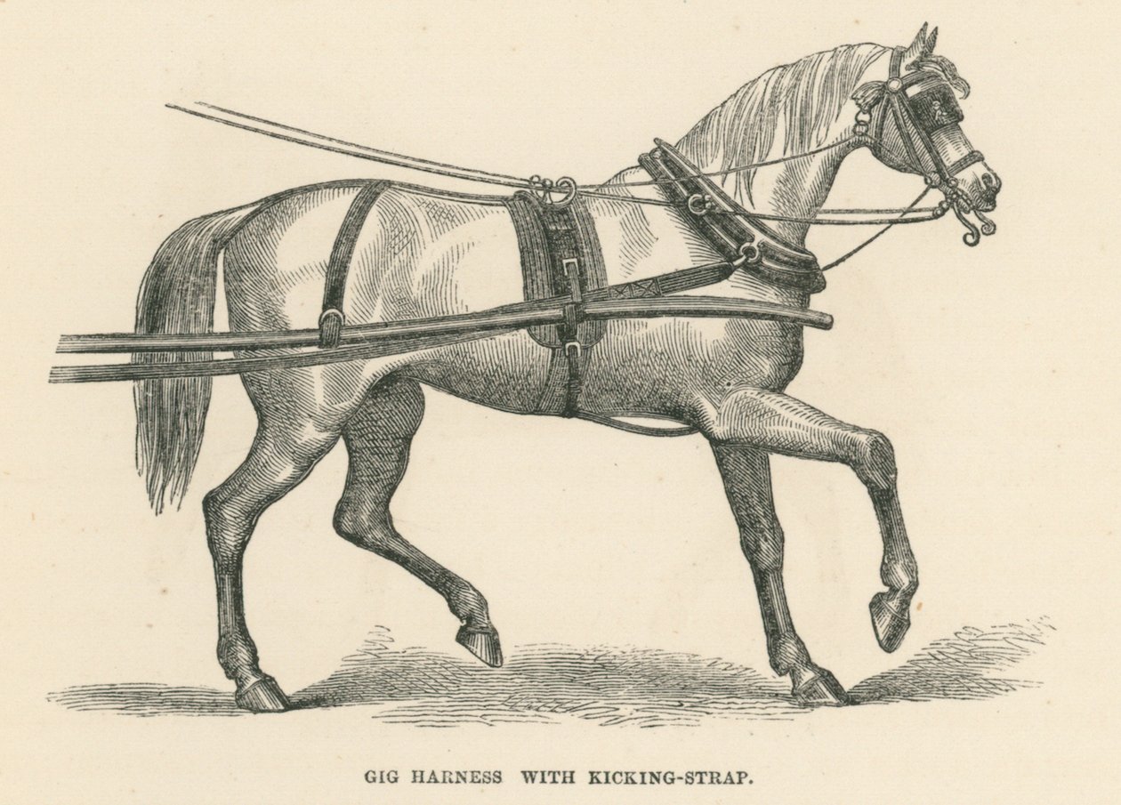 Gig Harness med Kicking-Strap (gravering) af English School