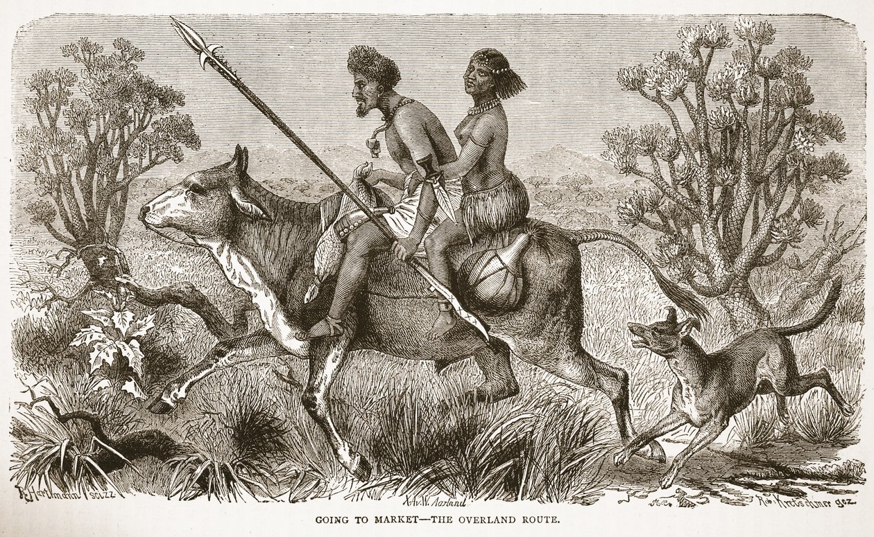 Går på markedet - over land-ruten, illustration fra The Pictorial Edition of the Life and Discoveries of David Livingstone af J. Ewing Richie, pub. af A. Fullarton & Co., 1876 af English School