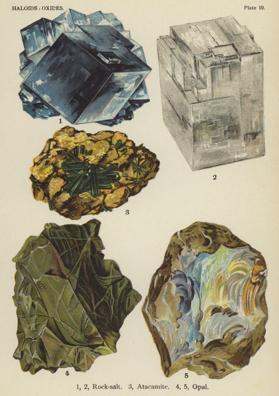 Haloider, oxider, stensalt, atacamit, opal (farvelit) af English School