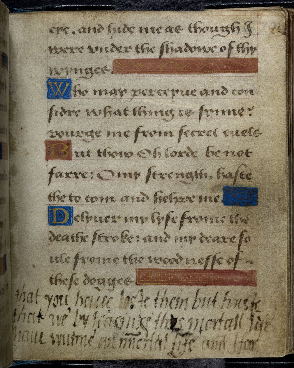 Harley 2342 f.79 Inskription skrevet i margenen af Lady Jane Gray til hendes far, hertugen af Suffolk, fra Lady Jane Grey