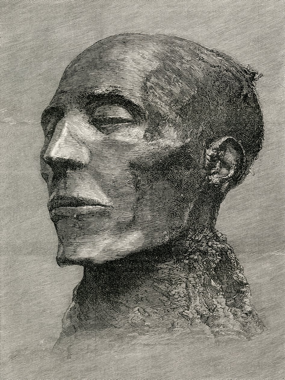 Leder af mumien til Menmaatre Seti I, også kendt som Sethos I, Farao i det gamle Egypten, fra The Worlds Inhabitants af G.T. Bettany, udgivet 1888 af English School