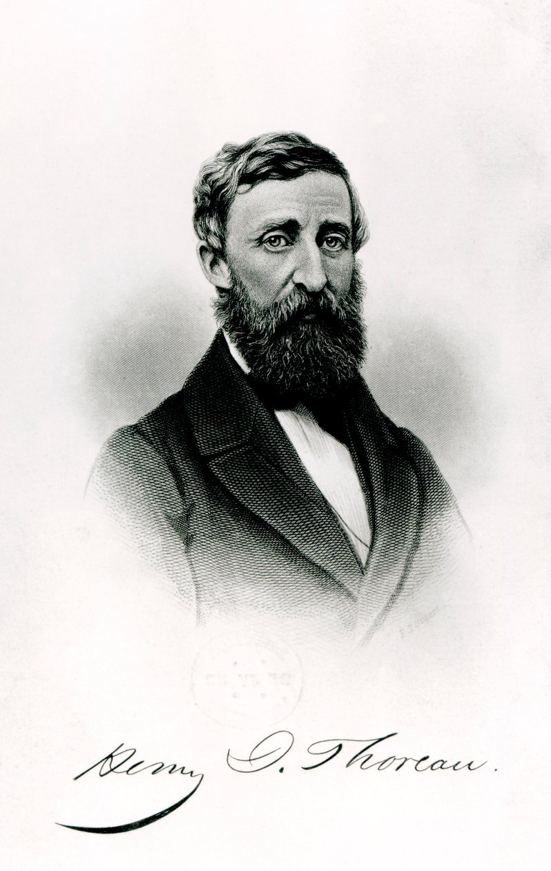 Henry David Thoreau (1817-62) af English School