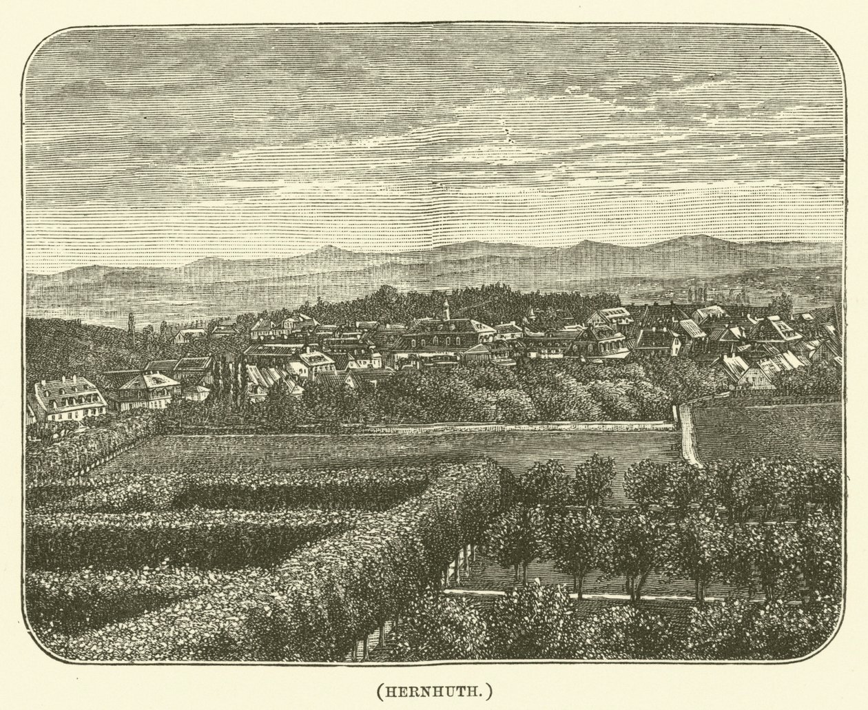 Hernhuth (engraving) af English School