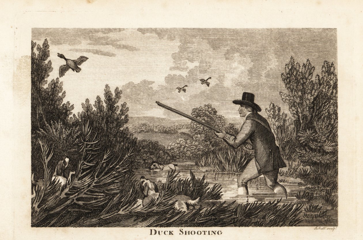 Jæger med vandspaniels, der skyder vilde ænder i mosen af English School