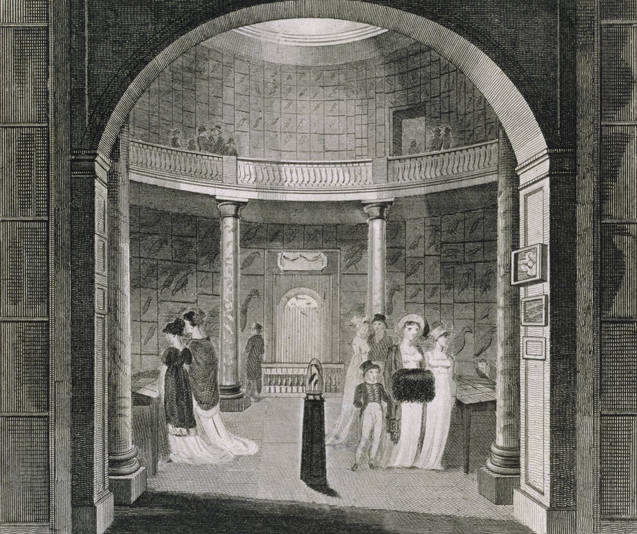 Indvendig udsigt af Leverian-museet, 1806 af English School