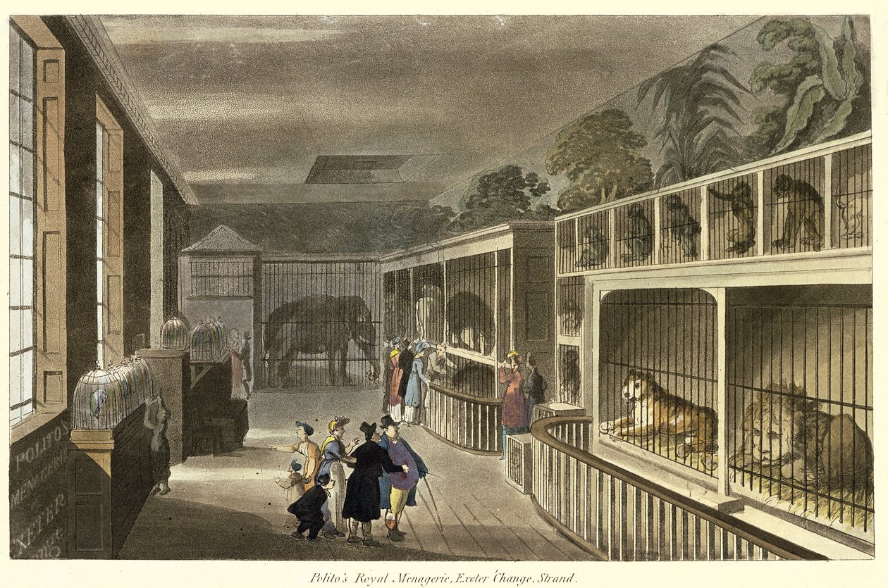 Indvendigt billede af Politos Royal Menagerie, Exeter Change, Strand, 1812 (akvatint) af English School