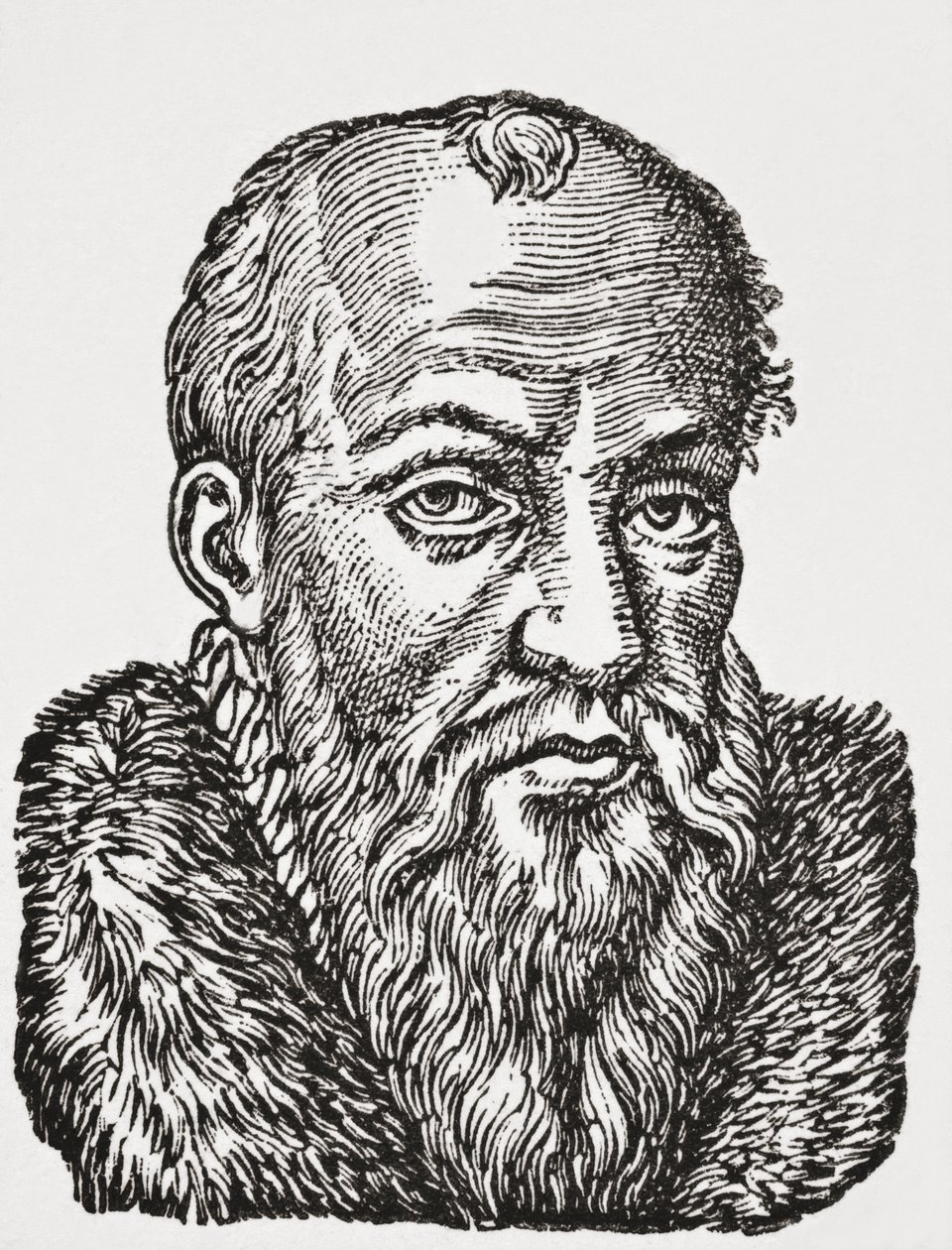 Jacques de Cujas, 1878 (litho) af English School