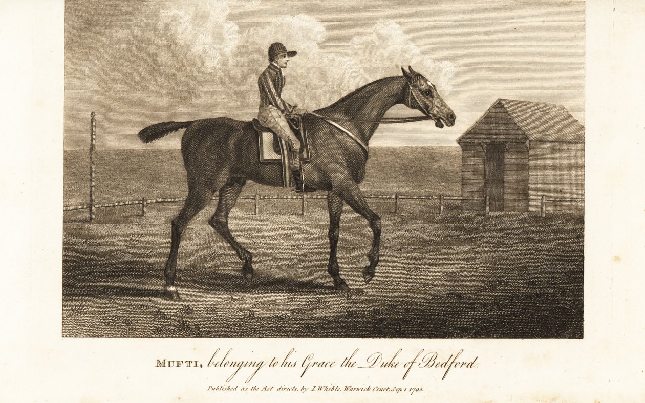 Jockey på den berømte fuldblods racer Mufti, der tilhører hans Grace the Duke of Bedford af English School