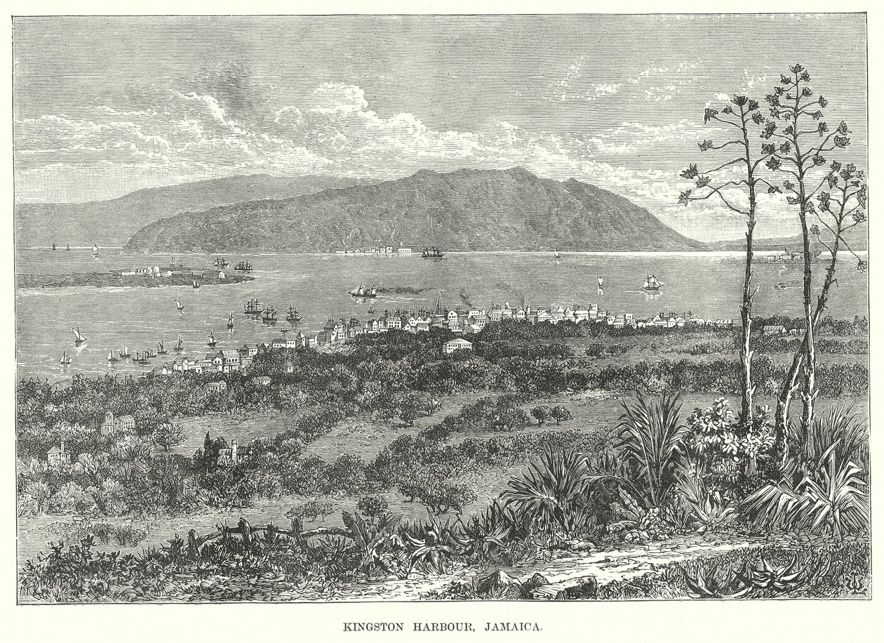 Kingston Harbour, Jamaica (kobberstik) af English School