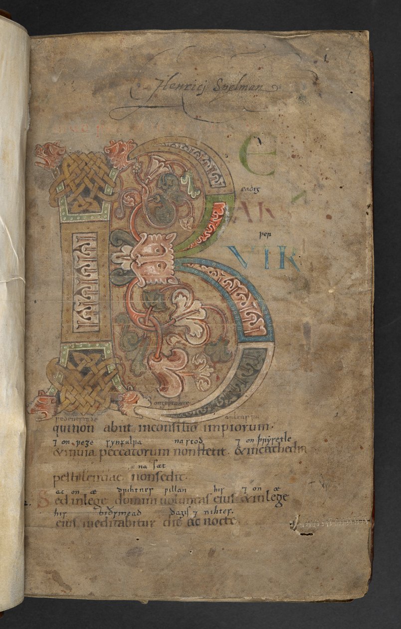 Stor initial med bæsthovedterminaler, sammenflettet og bladede dekoration i pink, orange, gul, grøn og blå (vellum) af English School