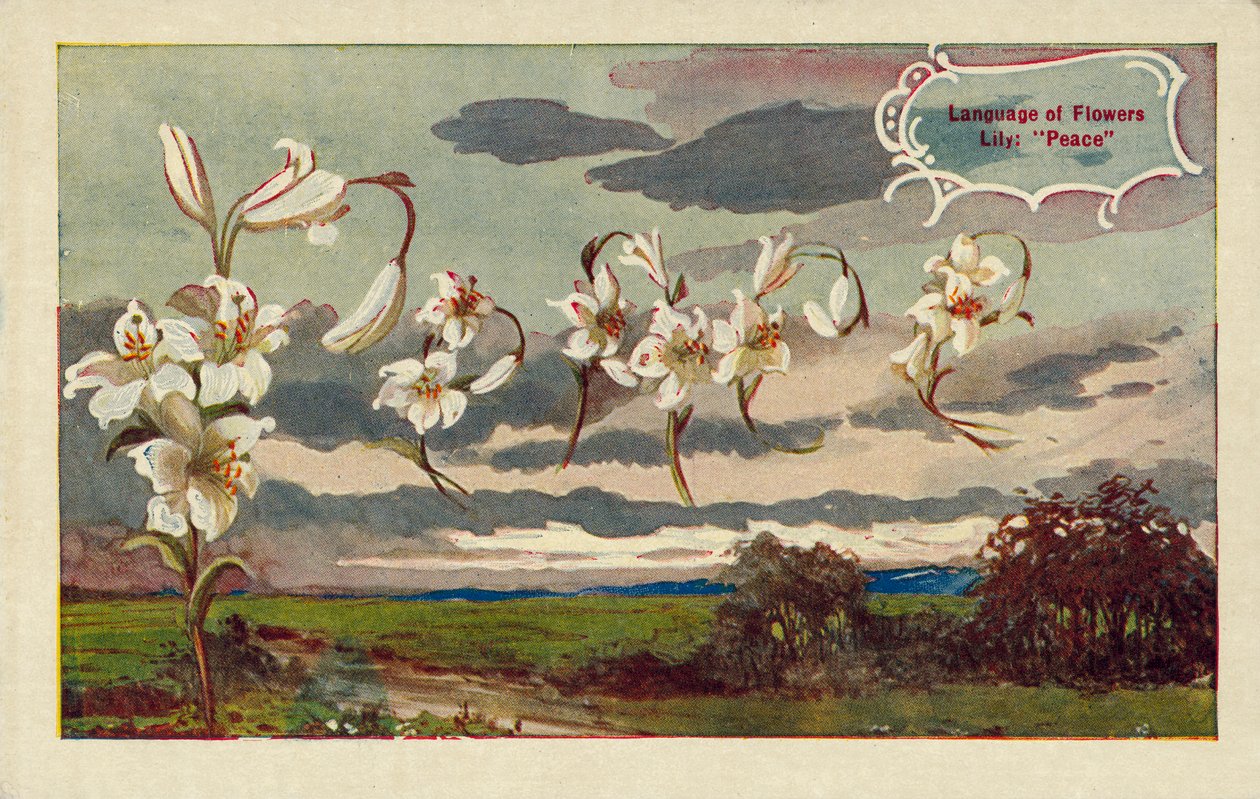 Lilje betyder fred på blomsternes sprog (farvelitografi) af English School