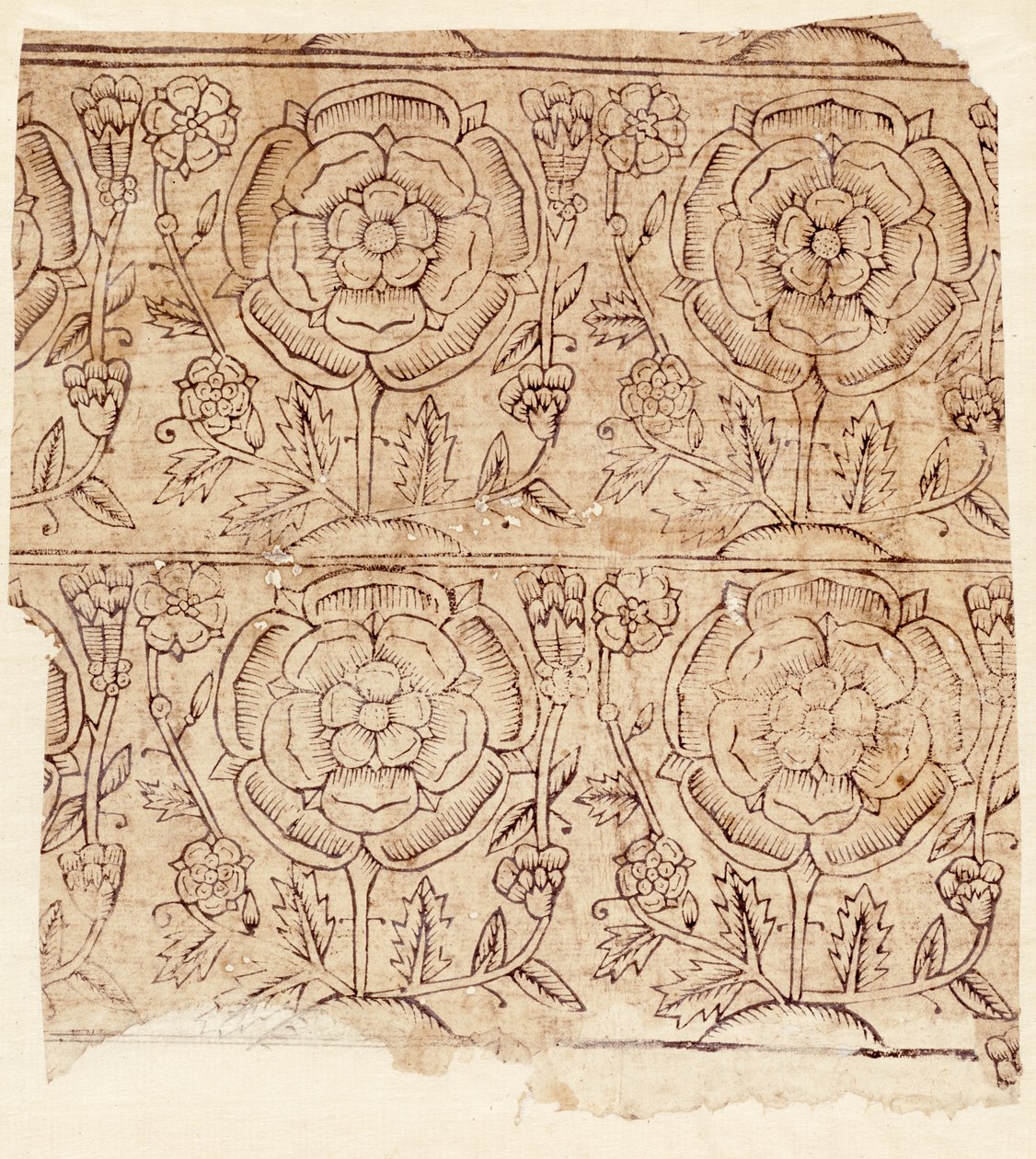 Forpapir med et Tudor Rose-mønster, ca. 1550 (træbloktryk) af English School