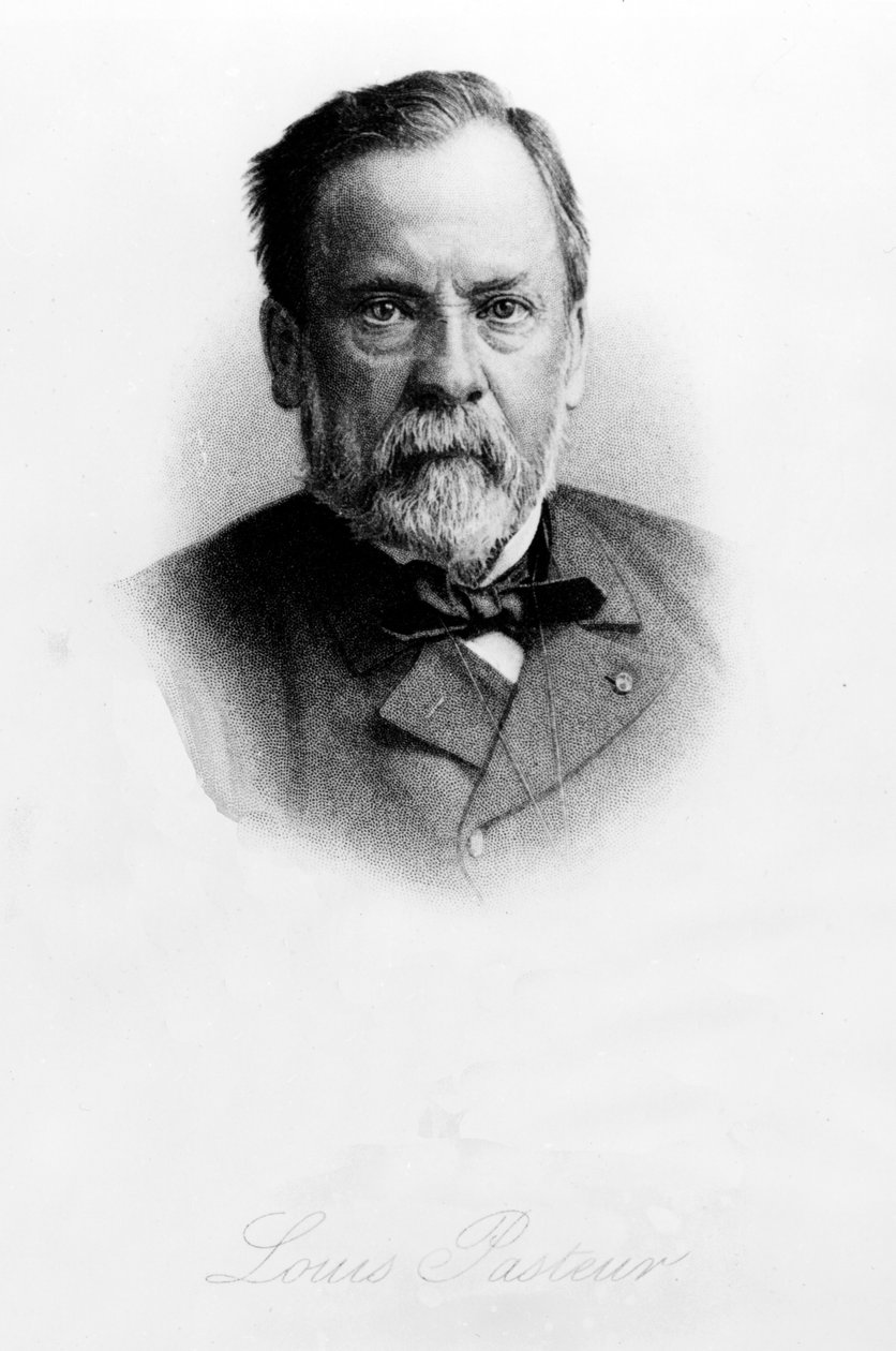 Louis Pasteur (1822-95) af English School