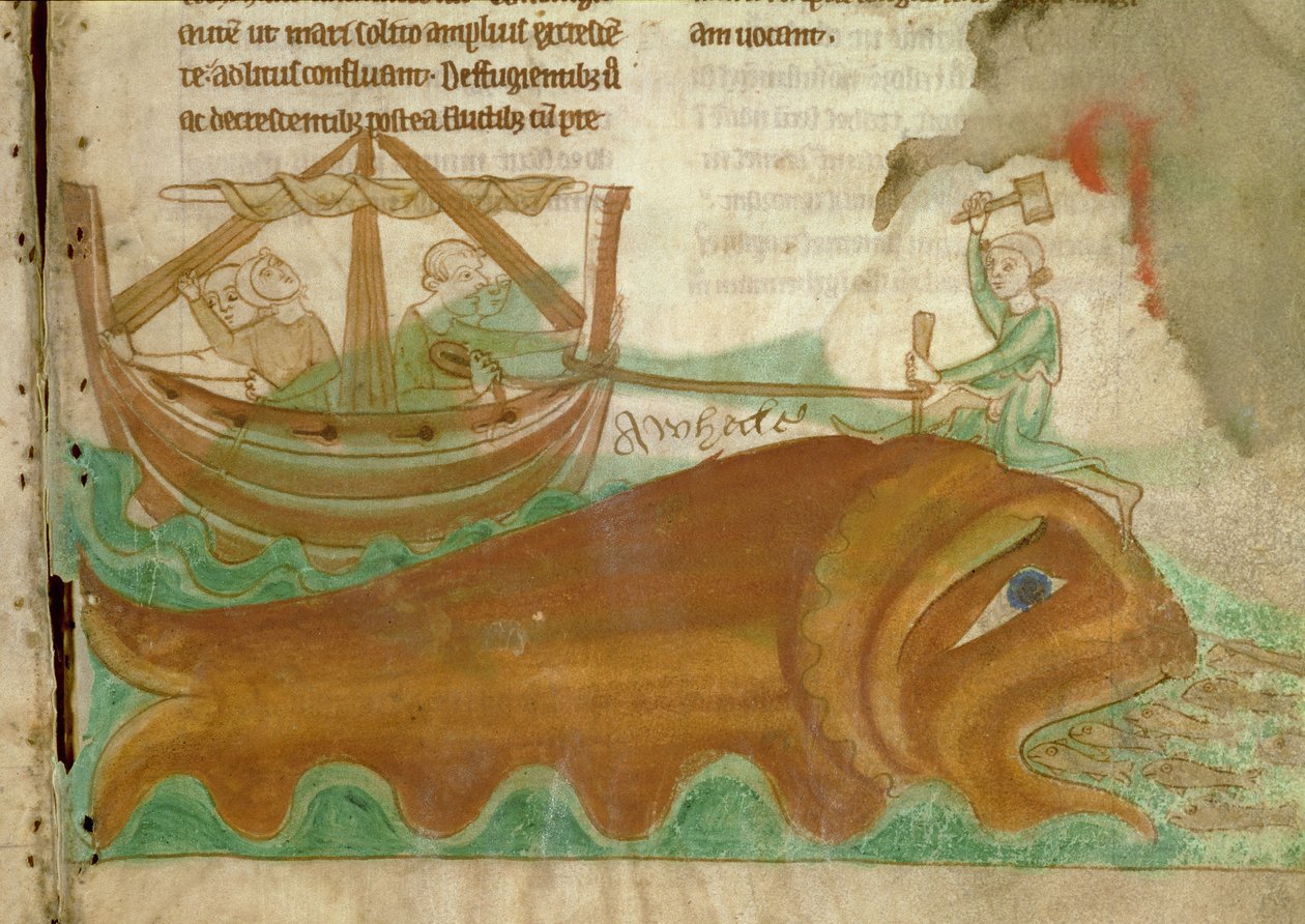 MS.254.f33r En hval med en sømand, der hamrer en pæl i hovedet på den, detalje fra en engelsk bestiarium, begyndelsen af det 13. århundrede (pergament) af English School