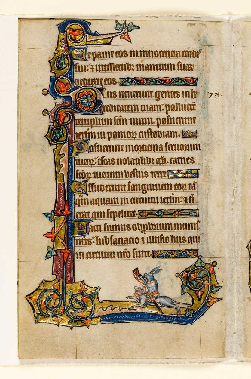 MS 1-2005, fol. 115v: En kanin rider på en jagt, marginal dekoration fra Macclesfield Psalter, Use of Sarum, East Anglia, ca. 1330 af English School