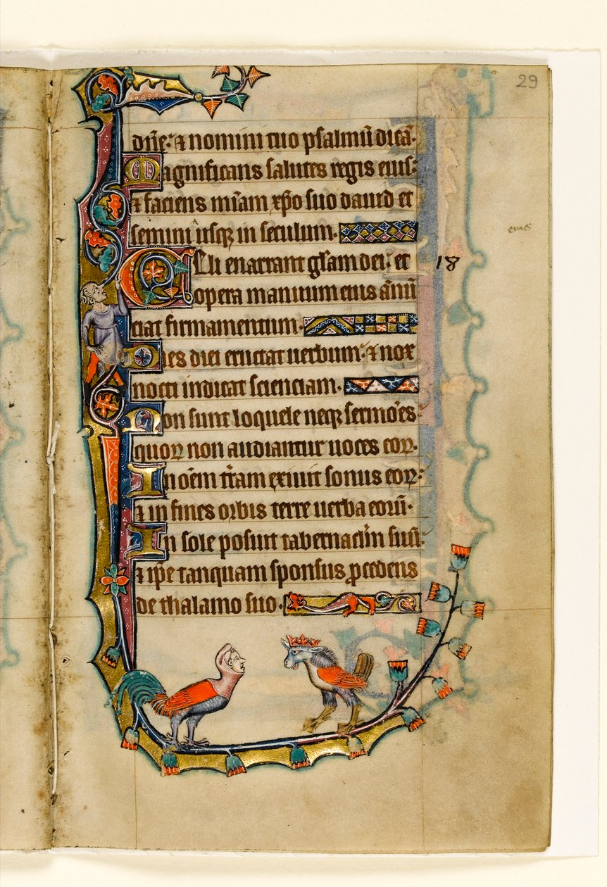 MS 1-2005, fol. 29r: Two Bird like grotesques, randdekoration fra Macclesfield Psalter, Use of Sarum, East Anglia, ca. 1330 af English School