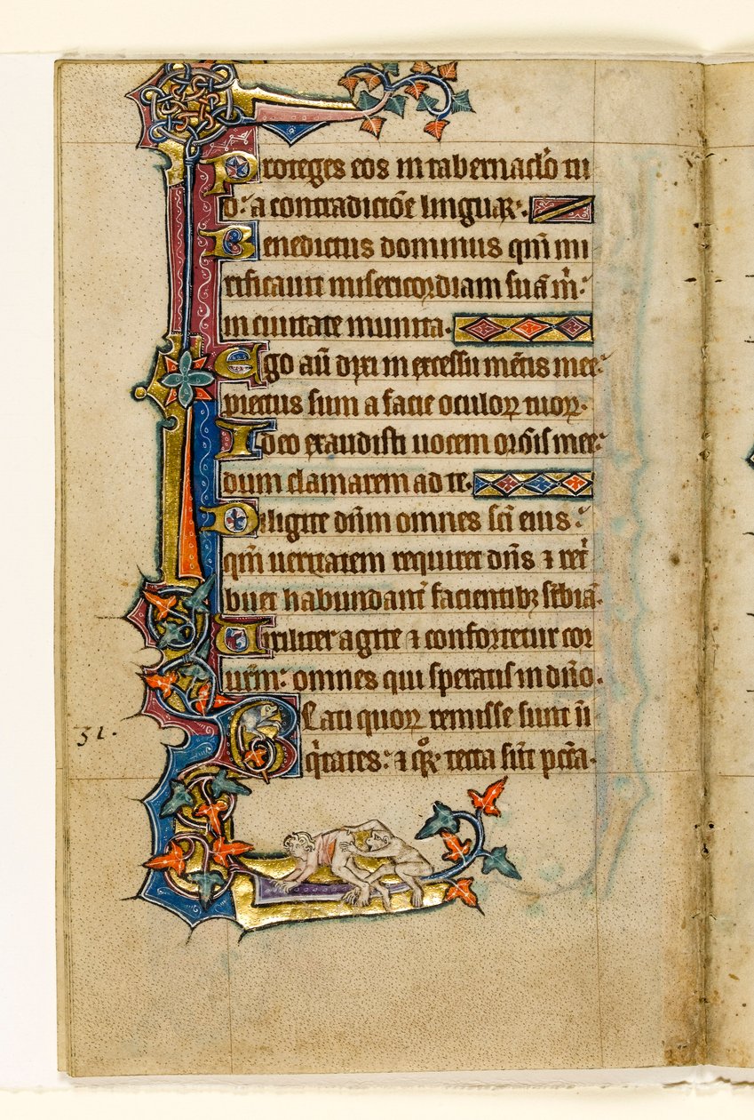 MS 1-2005, fol. 45v: En abe, der kigger på en mands bund, marginaldekoration fra Macclesfield Psalter, Use of Sarum, East Anglia, ca. 1330 af English School