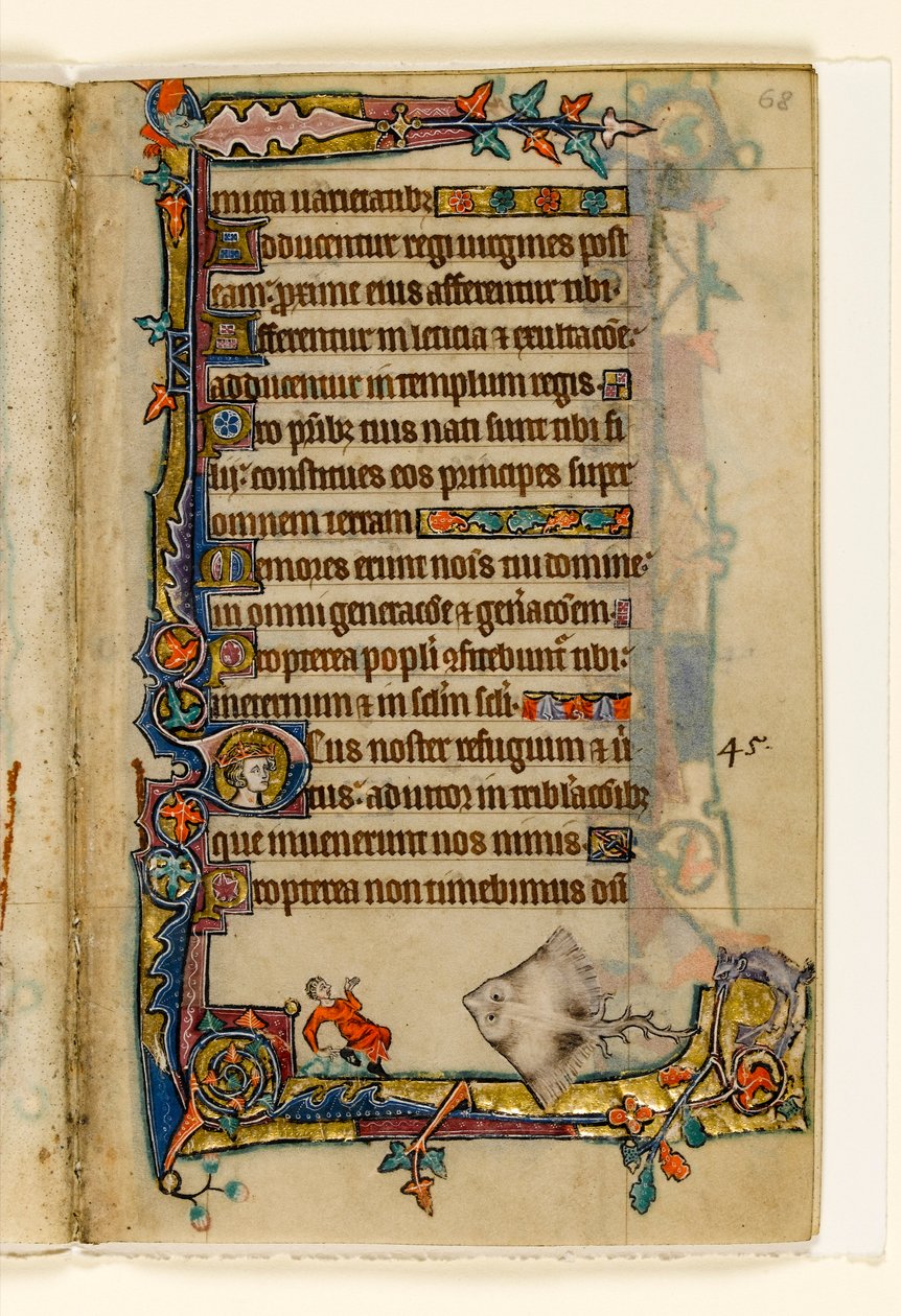 MS 1-2005, fol. 68r: The Giant Skate, marginal dekoration fra Macclesfield Psalter, Use of Sarum, East Anglia, ca. 1330 af English School