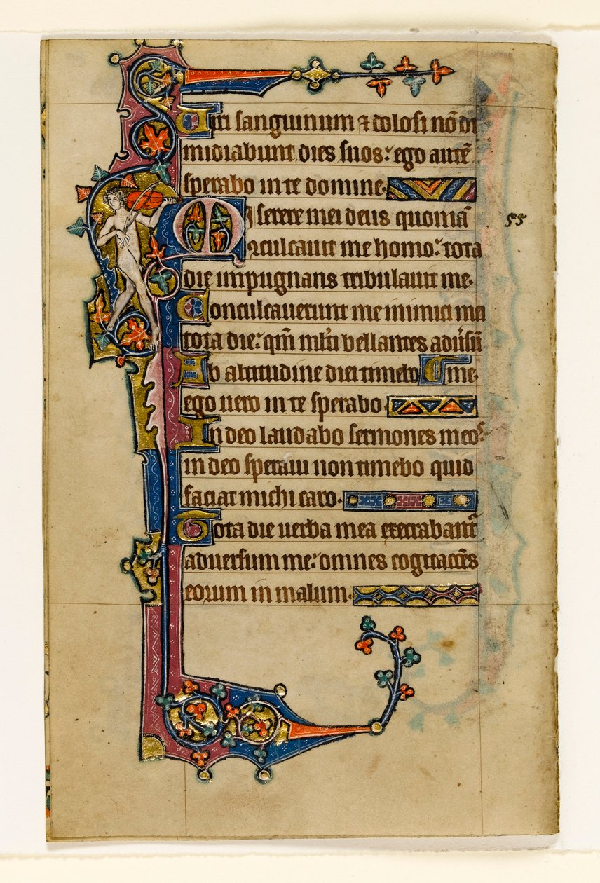 MS 1-2005, fol. 80v: En nøgen musiker, marginal dekoration fra Macclesfield Psalter, Use of Sarum, East Anglia, ca. 1330 af English School