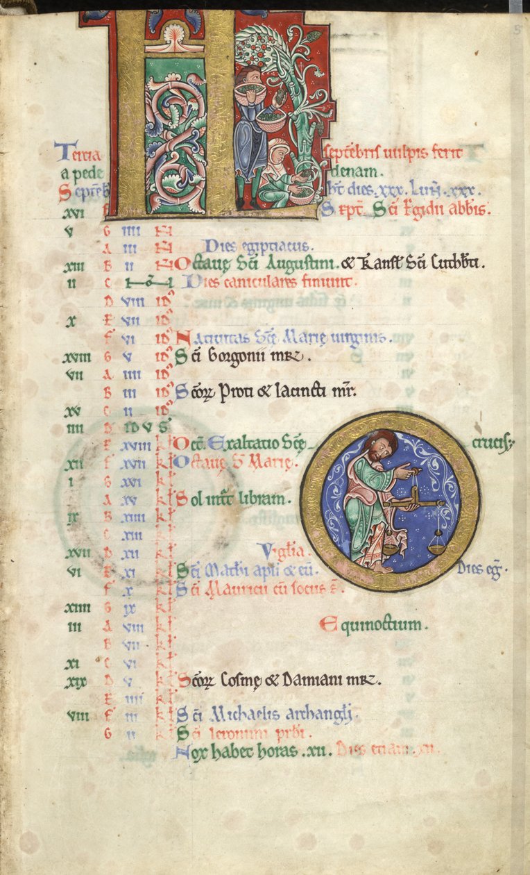 MS Hunter 229 f.5r september, fra Hunterian Psalter, ca. 1170 (pen & blæk, og tempera på vellum) af English School