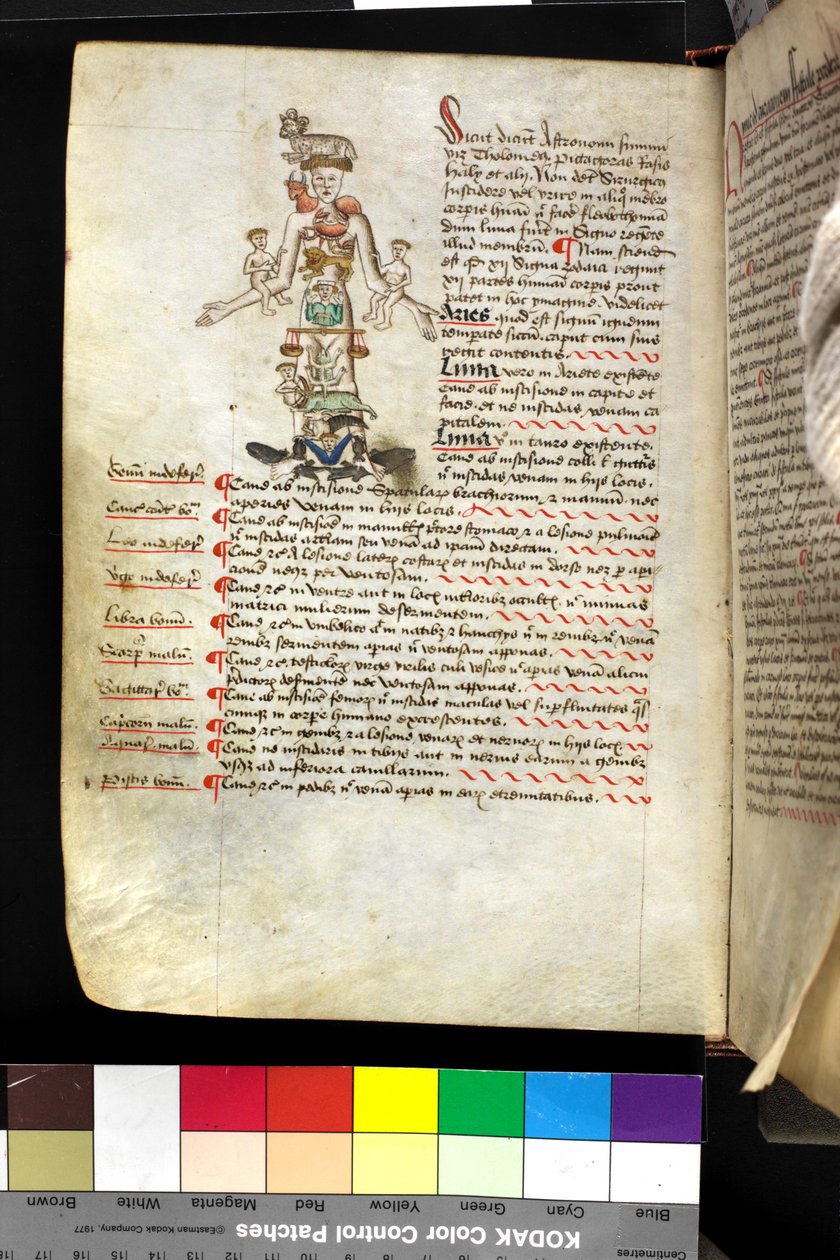 MS Hunter 251 f.47v, illustration af en 
