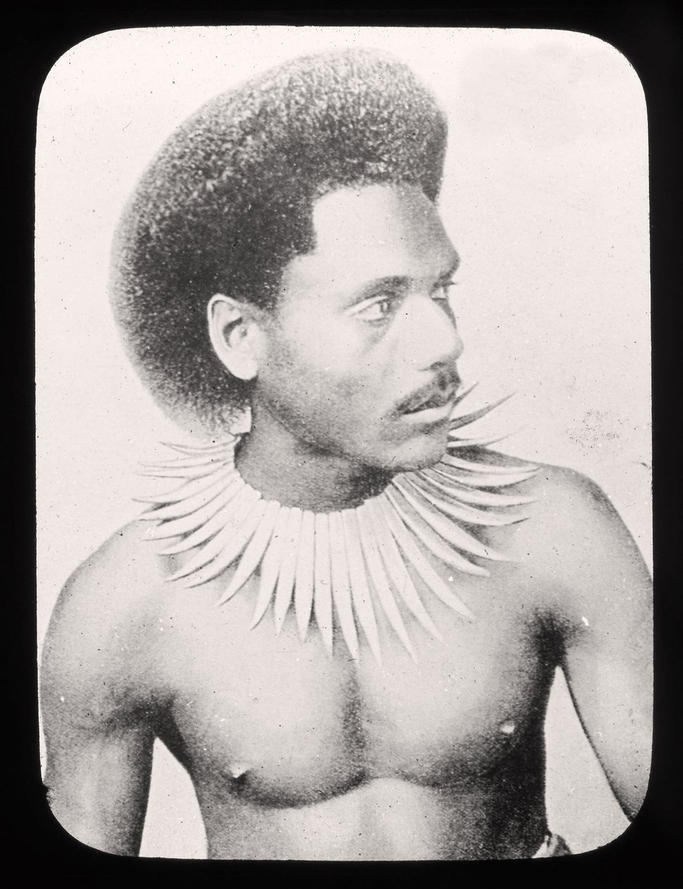 Magic Lantern Slide, der viser en fijiansk høvding i traditionel dragt ca. 1900 af English School