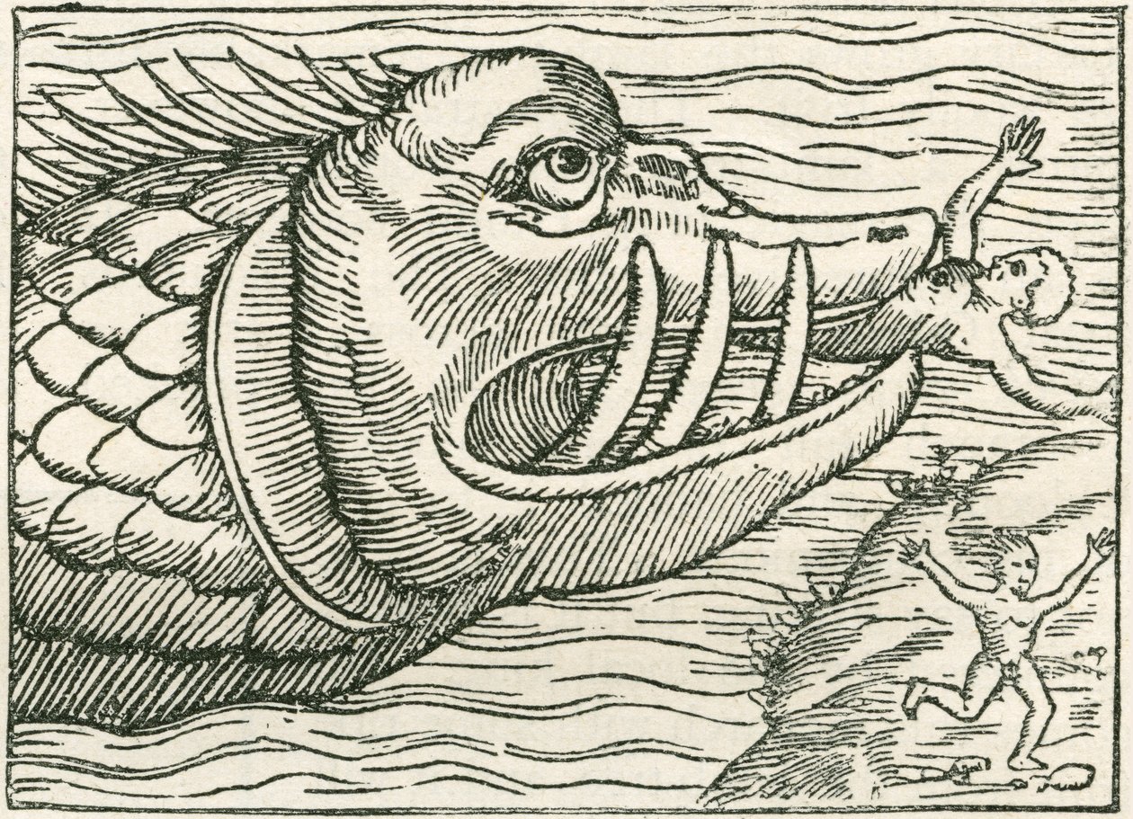 Mand bliver spist af en søslange. Illustration fundet i kanten af et kort udarbejdet af Olaus Magnus af English School