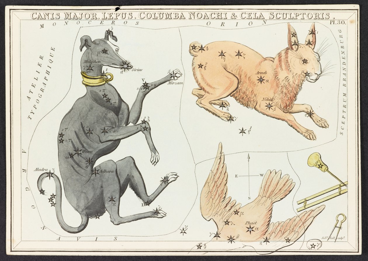 Kort C.44.A.42 Canis Major Lepus, fra 