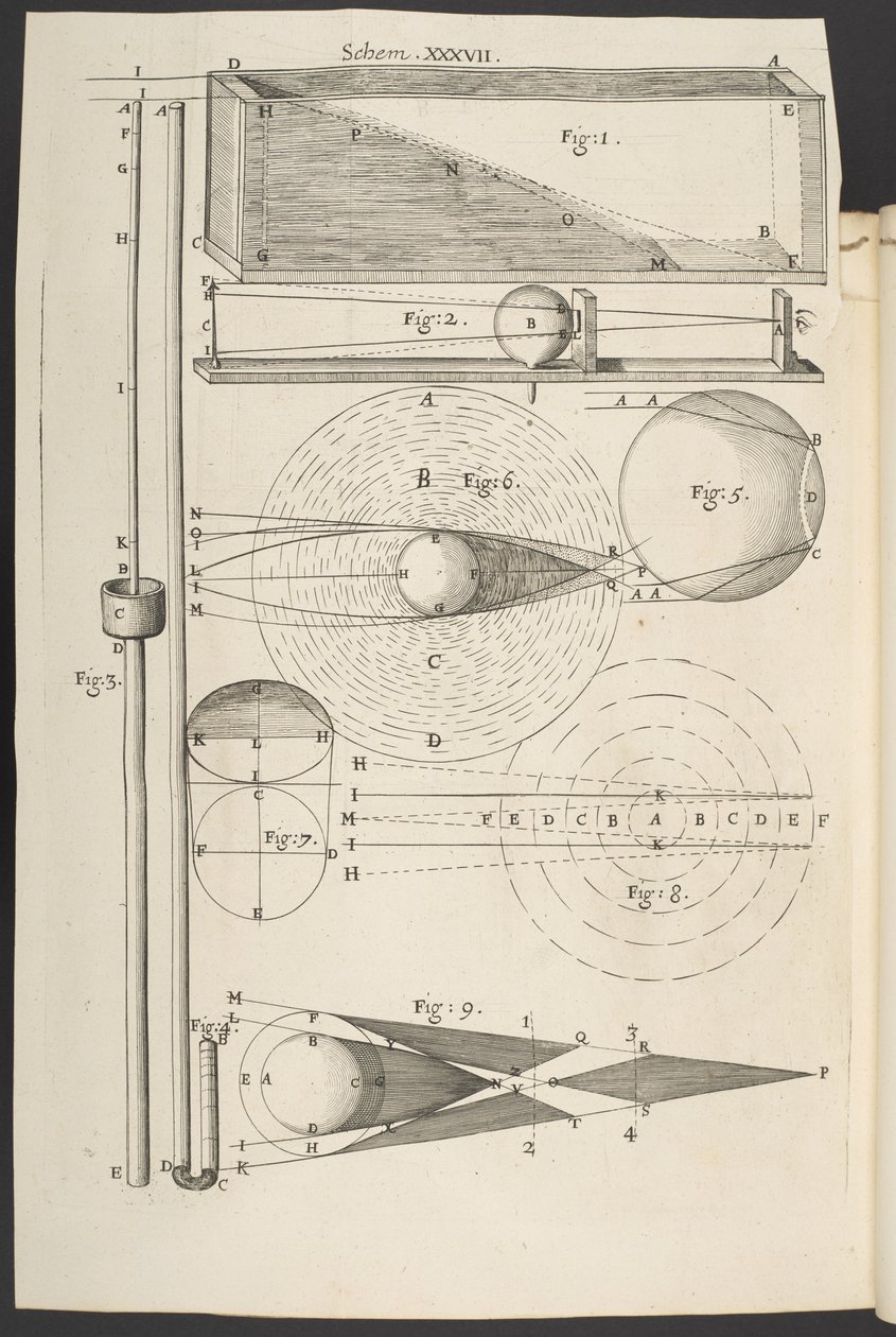 Mikrografi, eller nogle fysiologiske beskrivelser af små kroppe lavet med forstørrelsesglas, med observationer og forespørgsler derpå«, Robert Hooke af English School