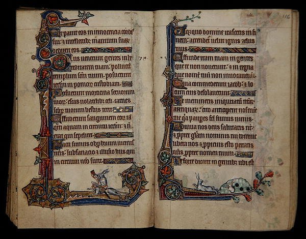 Ms 1-2005, ff.115v-116r: jagt kanin rider på en hund, marginal dekoration fra Macclesfield Psalter, Use of Sarum, East Anglia, ca. 1330 (vellum) af English School