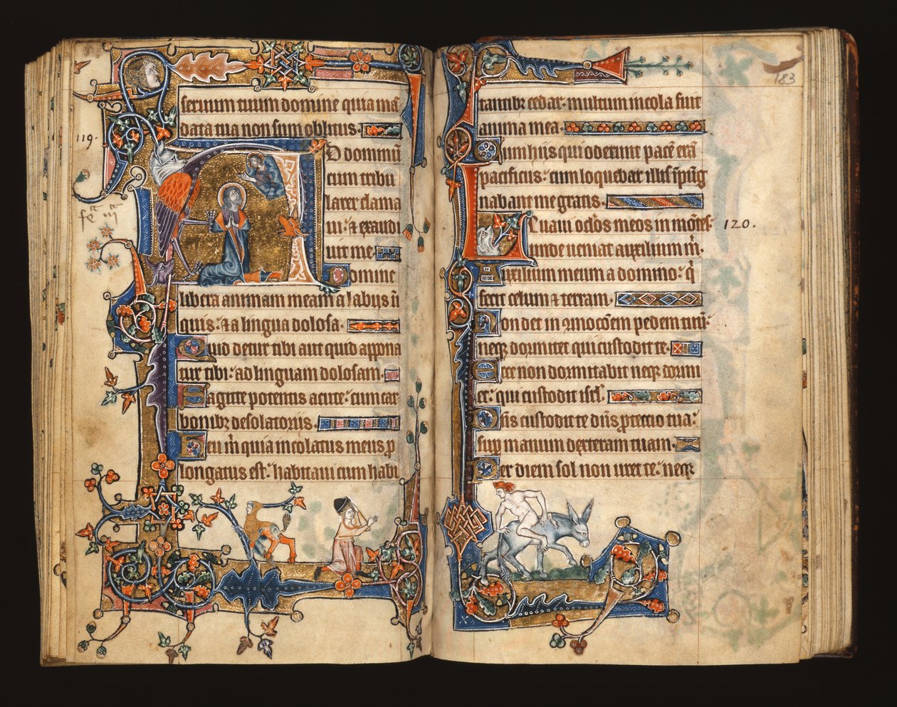Ms 1-2005, ff.182v-183r: David beder, historisk initial fra Macclesfield Psalter, Use of Sarum, East Anglia, ca. 1330 af English School