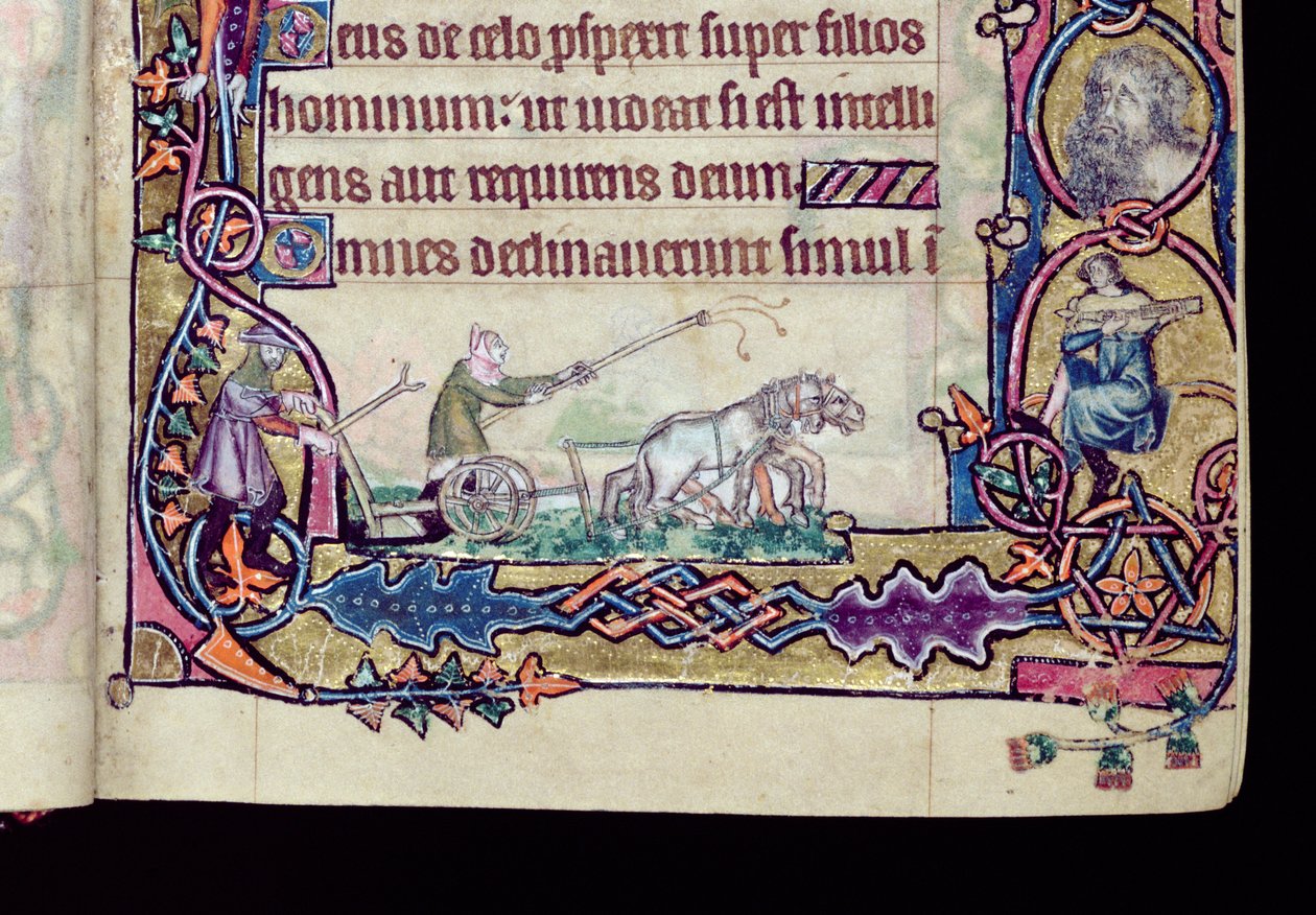 Ms 1-2005, ff.76v-77r: David and the fool, historisk initial fra Macclesfield Psalter, Use of Sarum, East Anglia, ca. 1330 (vellum) (detaljer fra 276994) af English School