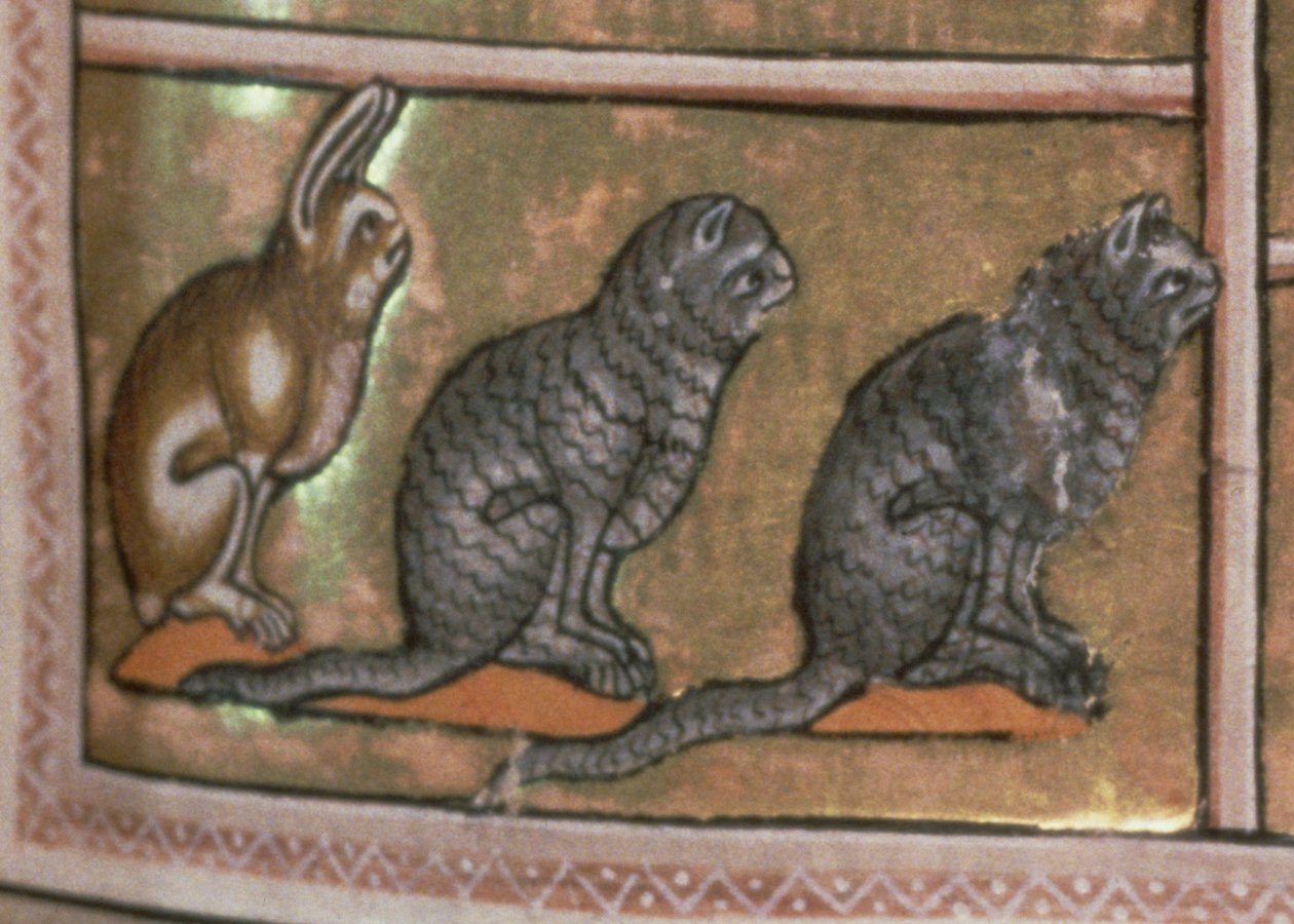 Ms 24 f.5 Adam navngiver dyrene, af North Midlands oprindelse, fra Aberdeen Bestiary (vellum) (detalje af 52593) af English School