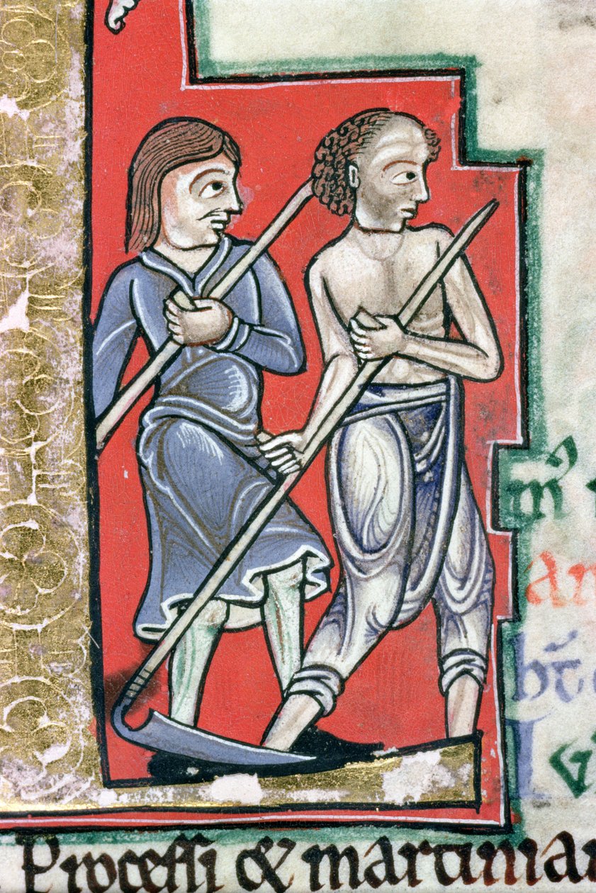 Ms Hunter 229 f.4r Mowing, fra Hunterian Psalter, ca. 1170 (pen & blæk og tempera på vellum) (detalje) af English School