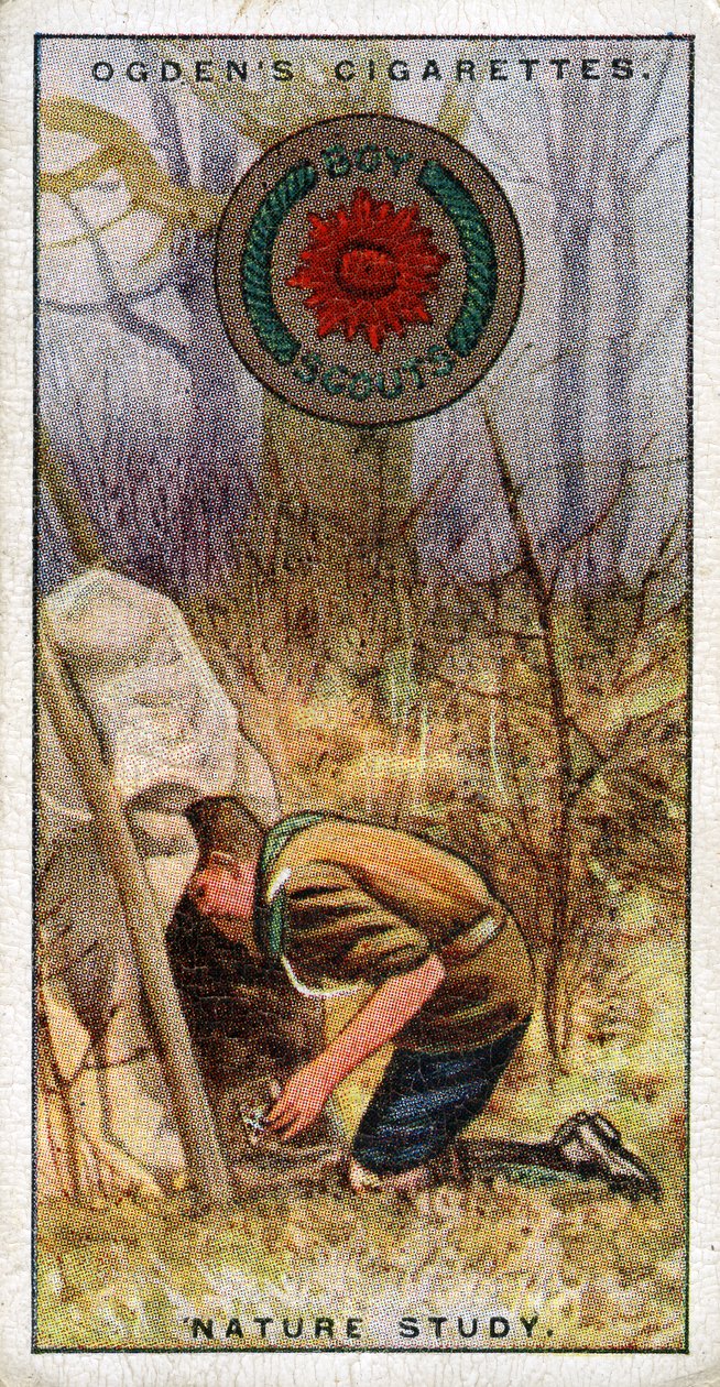 Naturstudiemærke for spejdere, spejder på vej ind i et skjul, 1929 af English School