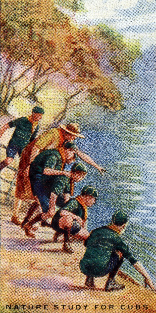 Naturstudie for unger, 1929 af English School